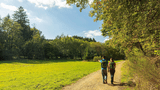 Wandern in der Eifel