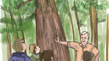 Robert Roller im Wald