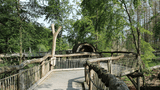 Holzsteg