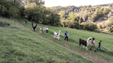 Lama- Wanderung