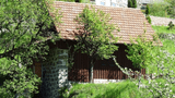 Buhnefronze_Muehl
