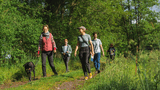 Wandern durch den Naturpark