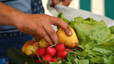 Bio- und Bauernmarkt Bad Hindelang