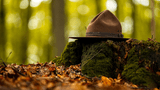 Rangerhut, typisch für Nationalpark Eifel Ranger